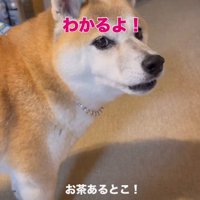 「できる！」