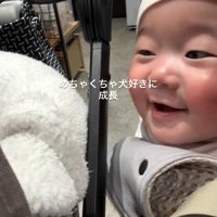 ワンコに熱い視線を注いでいます
