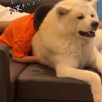 「大丈夫だよ」