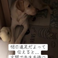 「お迎えはまだかな？」