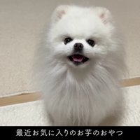 お芋をあげることに