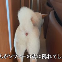 1階に戻ってきたら、様子が変…！