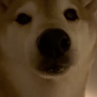 ツンデレがたまらない