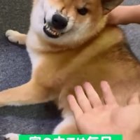 パパに怒るぽてとくん1