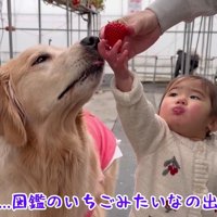 大きくてきれいなかたち！！