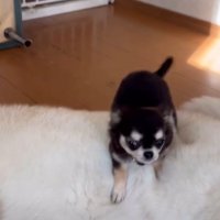 しっかり踏み込んで…