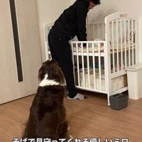 優しく寄り添う