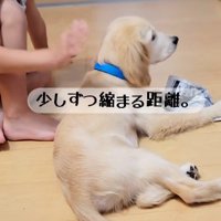 少しずつ警戒心が和らいだ