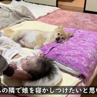 赤ちゃんを寝かしつけ！