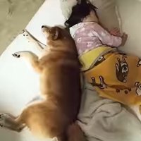 寄り添うロック君