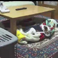 大好きなお母さんが入院