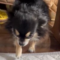 嫌そうな