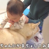 ナデナデも体験できた♪