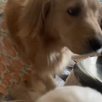 ママのマチルダちゃんも登場