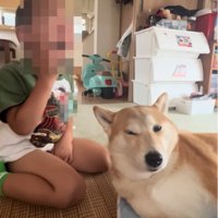 目を細めるもっぴちゃん
