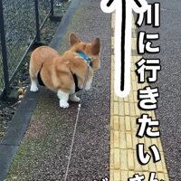「僕は川に行きたいの！」