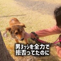 ラッキーくんの変化3
