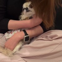 こはくちゃんとお姉ちゃんの再会⑩