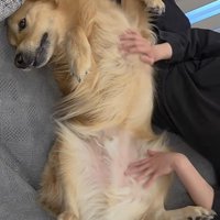 markくんとお兄ちゃんの再会⑩