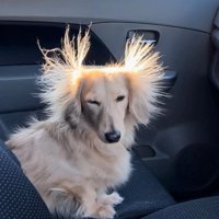 目を細めるまろんちゃん