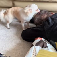 おじいちゃんが寝転んでも…