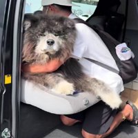助手席で降車拒否！！