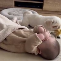 タコのぬいぐるみで遊ぶまもるくん