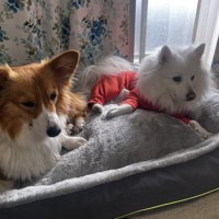 仲良し