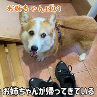 嬉しそう♪