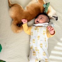 赤ちゃんにくっつくまるくん