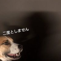 必死に謝るサナくん