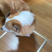 赤ちゃんを見守るまる君7