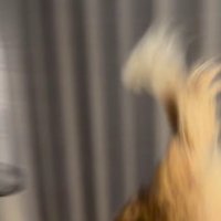 お姉ちゃんに寄り添ったのは…