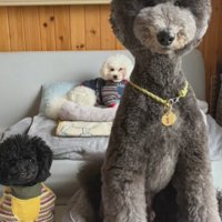 仲良しな3兄弟！！