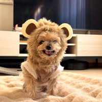 笑顔が素敵なもっしゅちゃんでした！