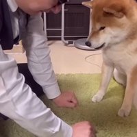 左右入れ替えても…
