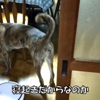 まさかの場所にいたりゅうさん8
