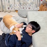 ココちゃんの尊い行動2