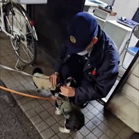 お巡りさんに体を寄せる犬たち