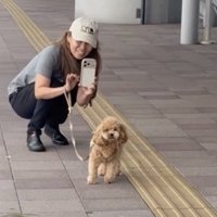 「あれはまさか…？」