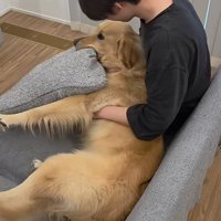 markくんとお兄ちゃんの再会5