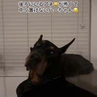 ANELAちゃんが座っていた！