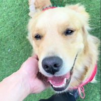 新しい家族が増えたよ♡