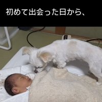 気になる存在…