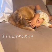 弟くんに甘々なこむぎくん