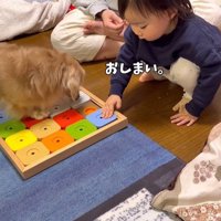 オヤツ探しは一瞬で終了（笑）
