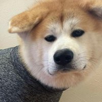 嫌そうな表情にクスッ