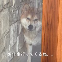 「行かないで」