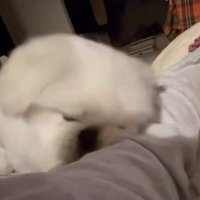 心配してくれているのかな？
