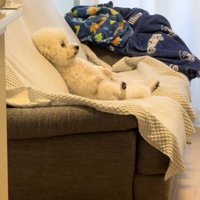 一点を見つめるほくさん